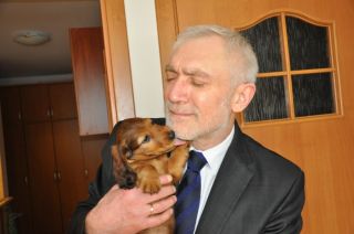 jamnik d�ugow�osy NAILA